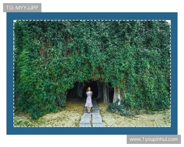 上海乒乓球队团队协作的独特优势与其他球队的深度对比分析