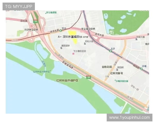 深圳网球队的速度之美与技术探秘全景解析 深圳网球队的速度之美与技术探秘全景解析